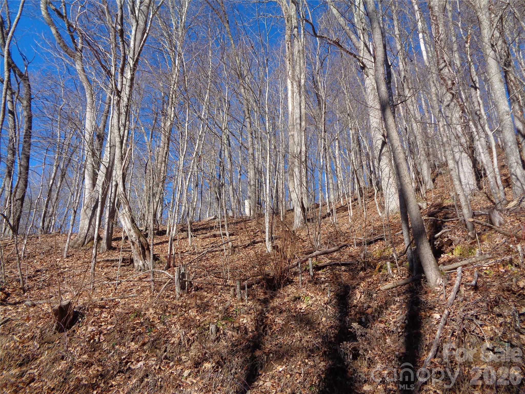 00 Listening Cove Clyde NC 28721