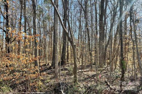 01 Lurecliff Place Fort Mill SC 29708