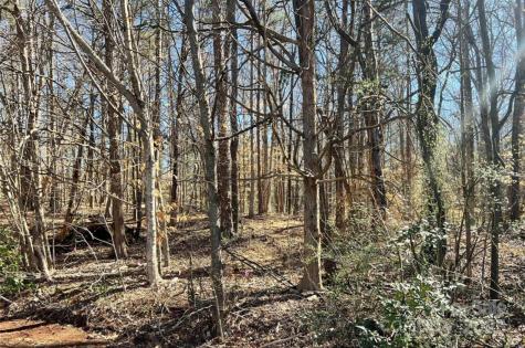 01 Lurecliff Place Fort Mill SC 29708