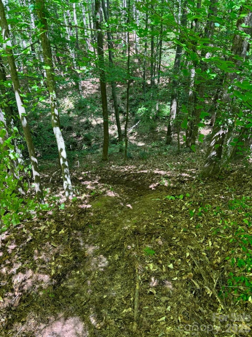 6128 Plantation Pointe Drive Granite Falls NC 28630