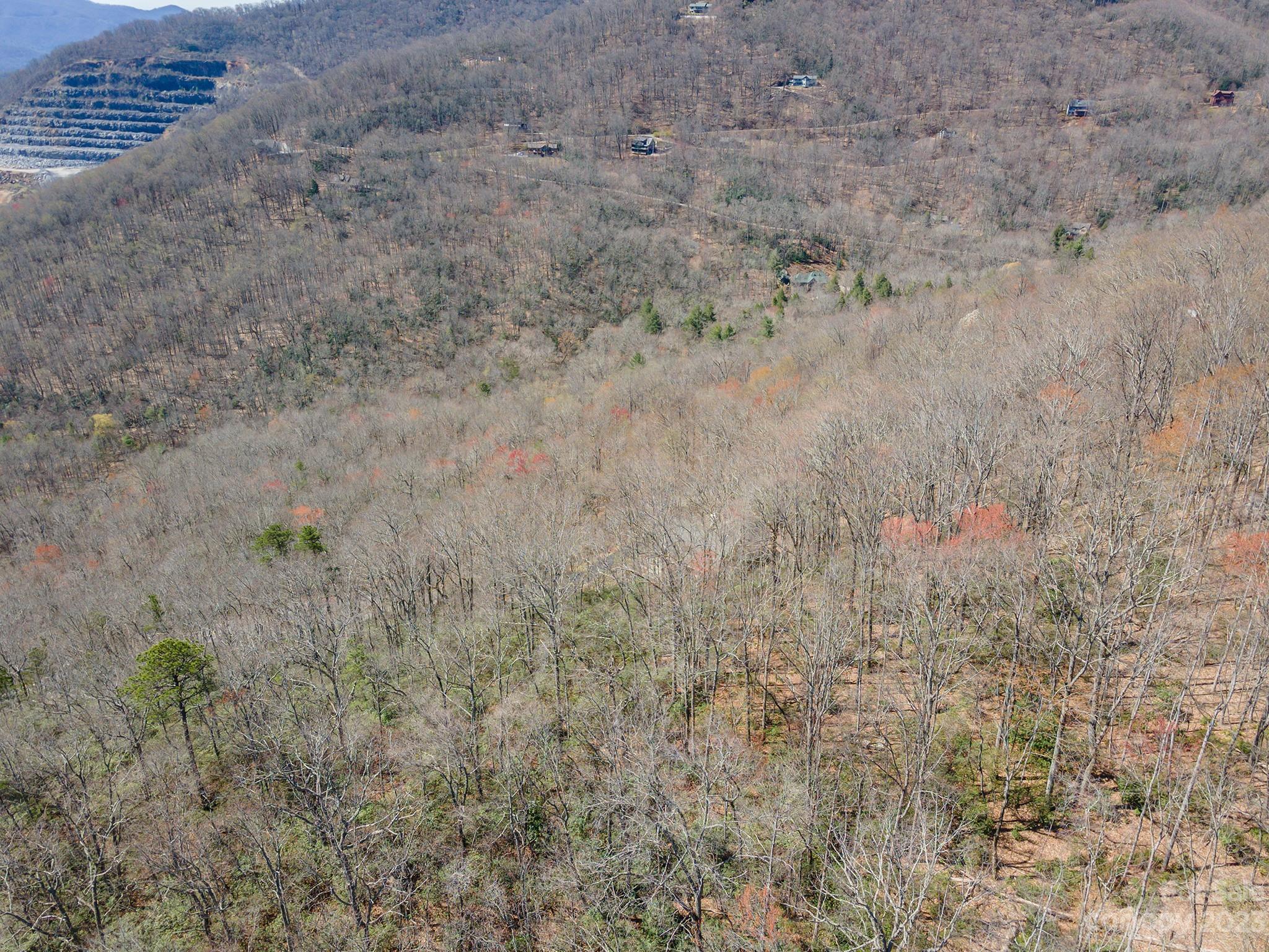 103 Sugar Maple Drive Black Mountain NC 28711