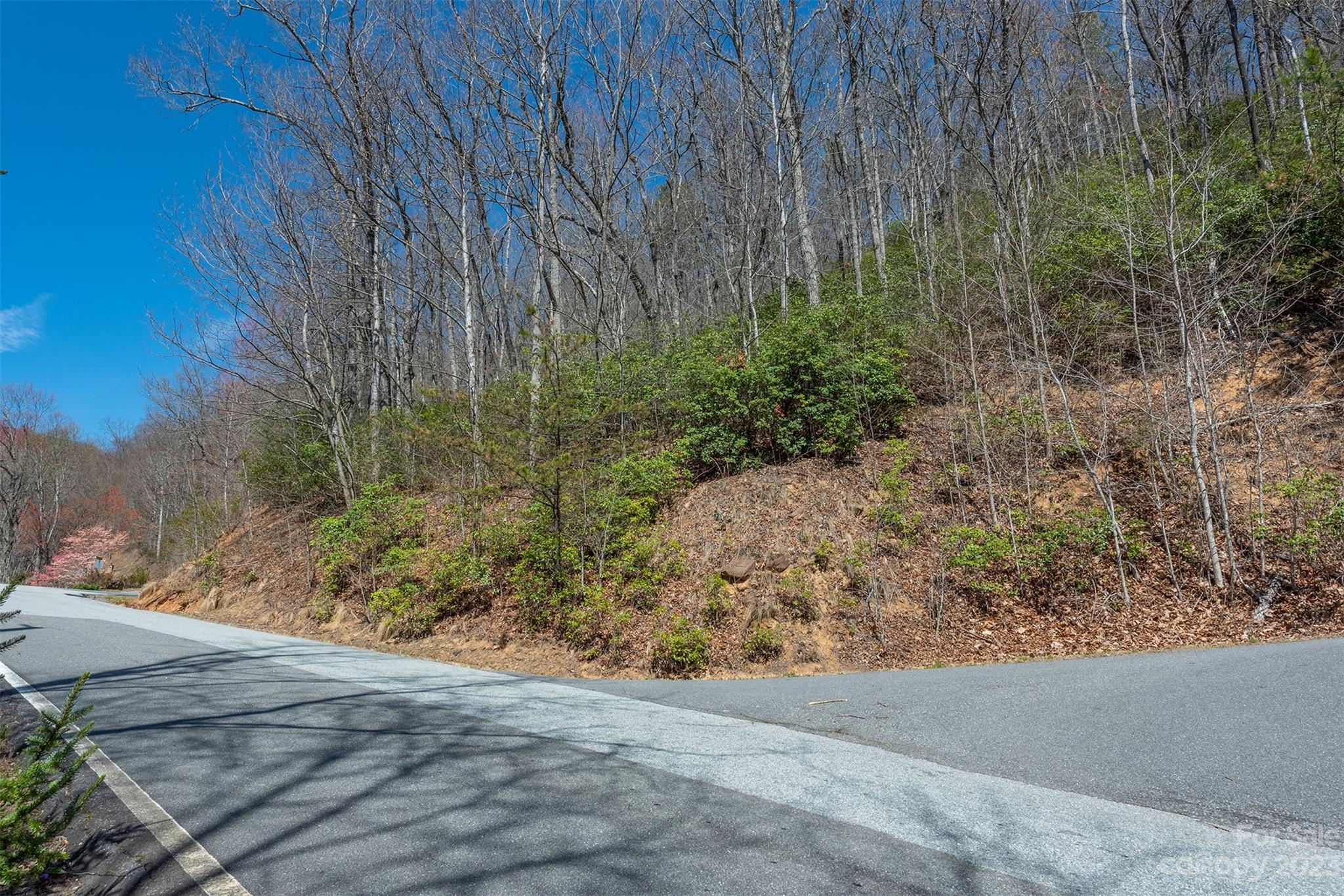 103 Sugar Maple Drive Black Mountain NC 28711