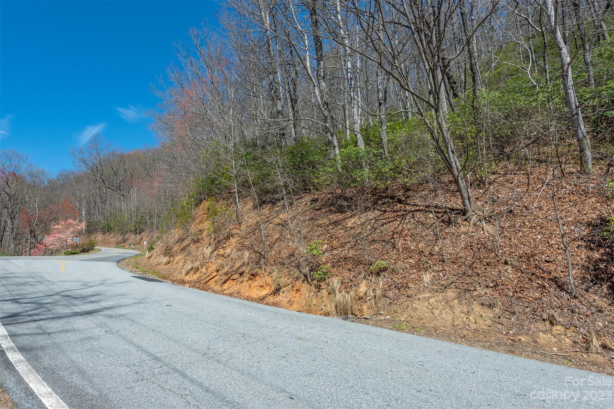 103 Sugar Maple Drive Black Mountain NC 28711