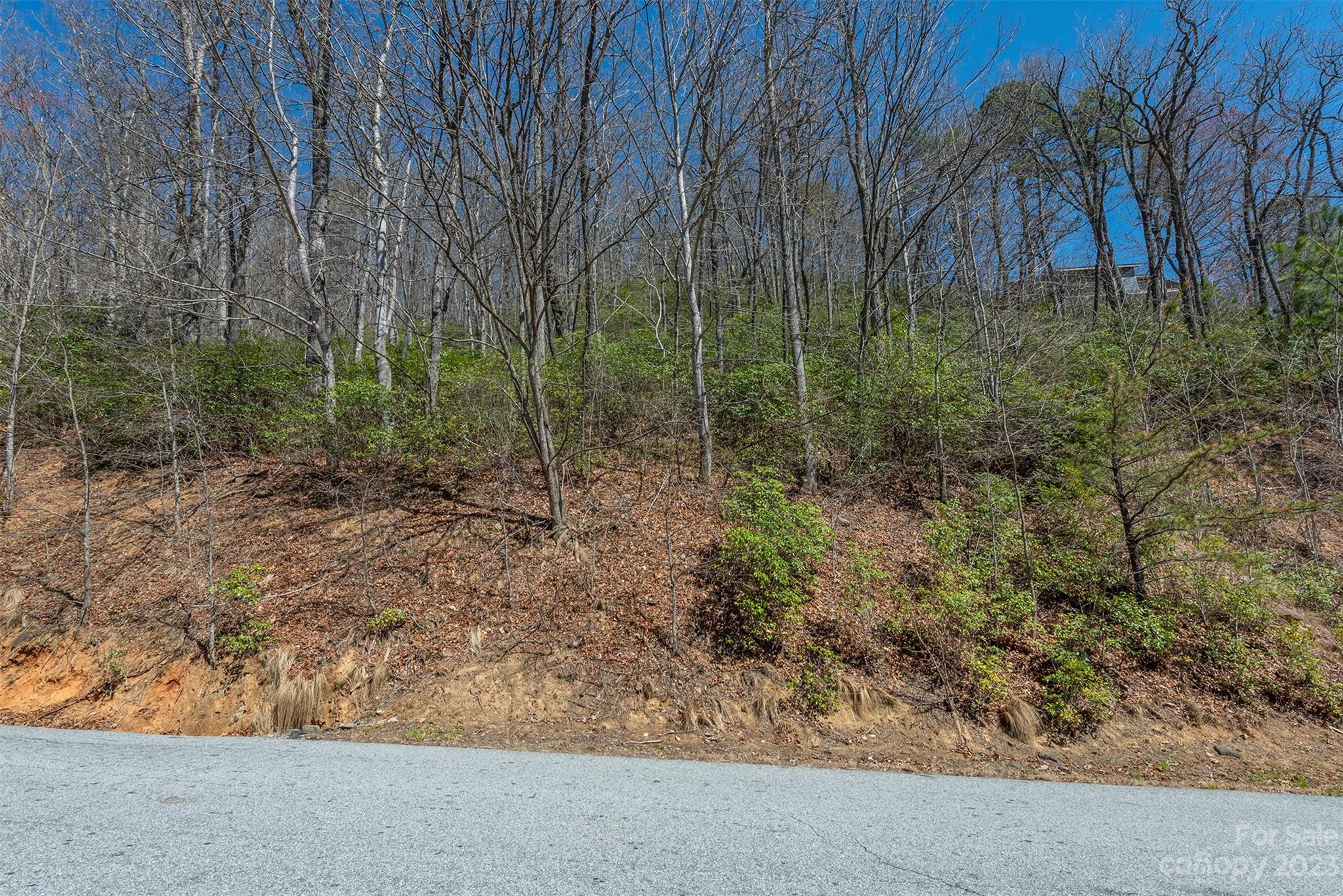103 Sugar Maple Drive Black Mountain NC 28711