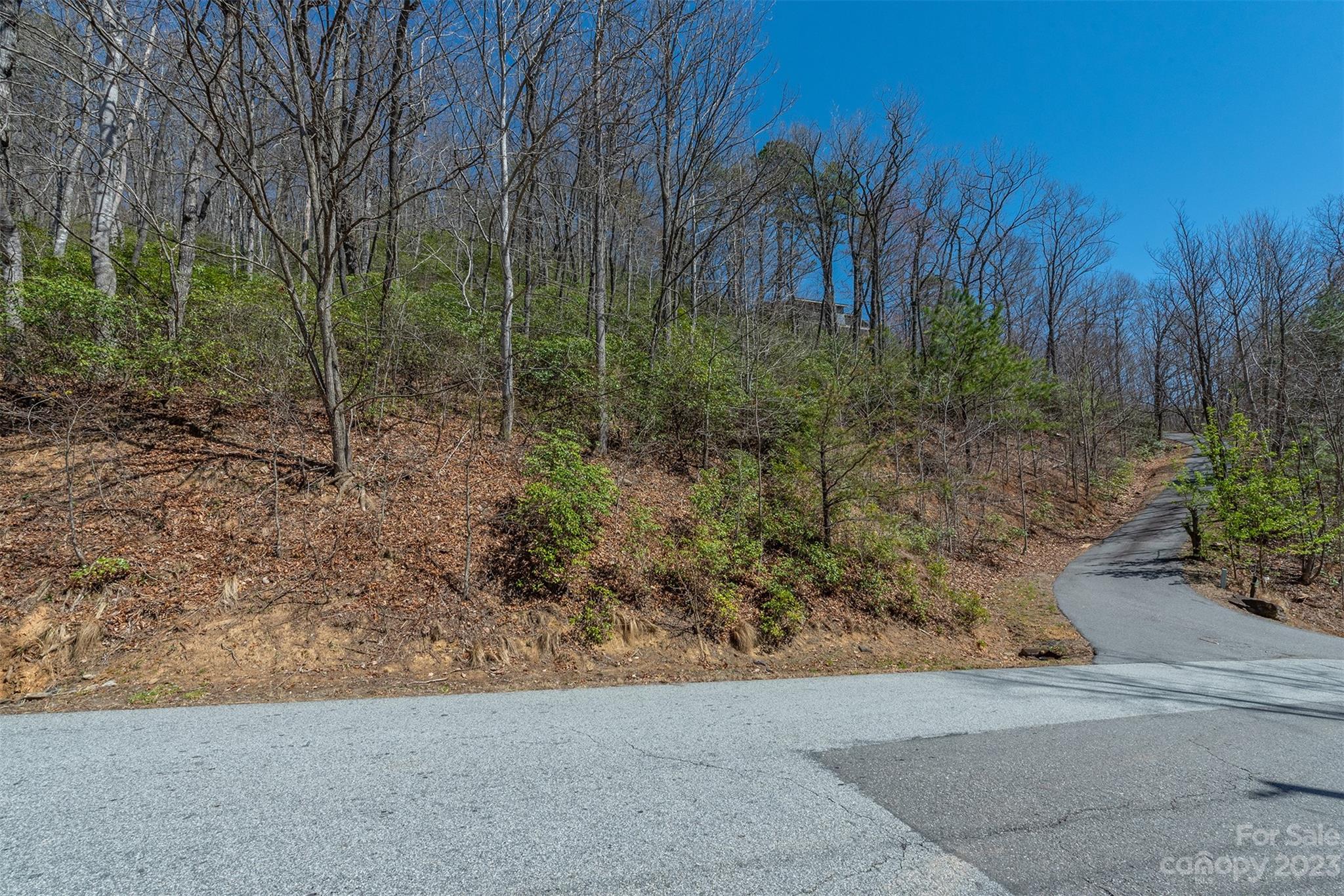 103 Sugar Maple Drive Black Mountain NC 28711