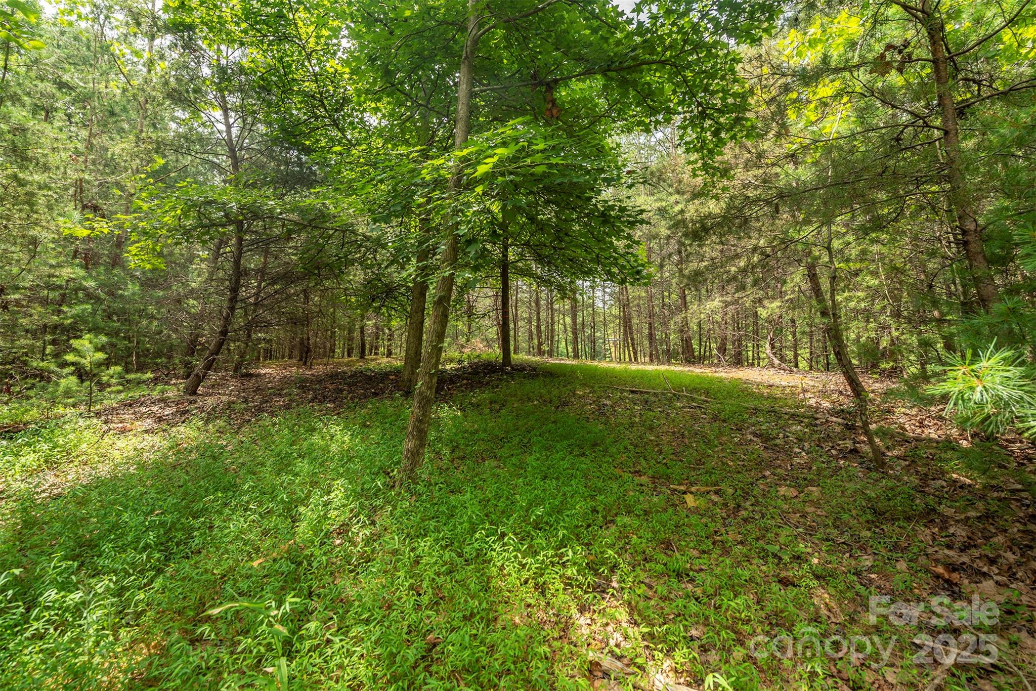 Lot 46 Black Forest Drive Marion NC 28752