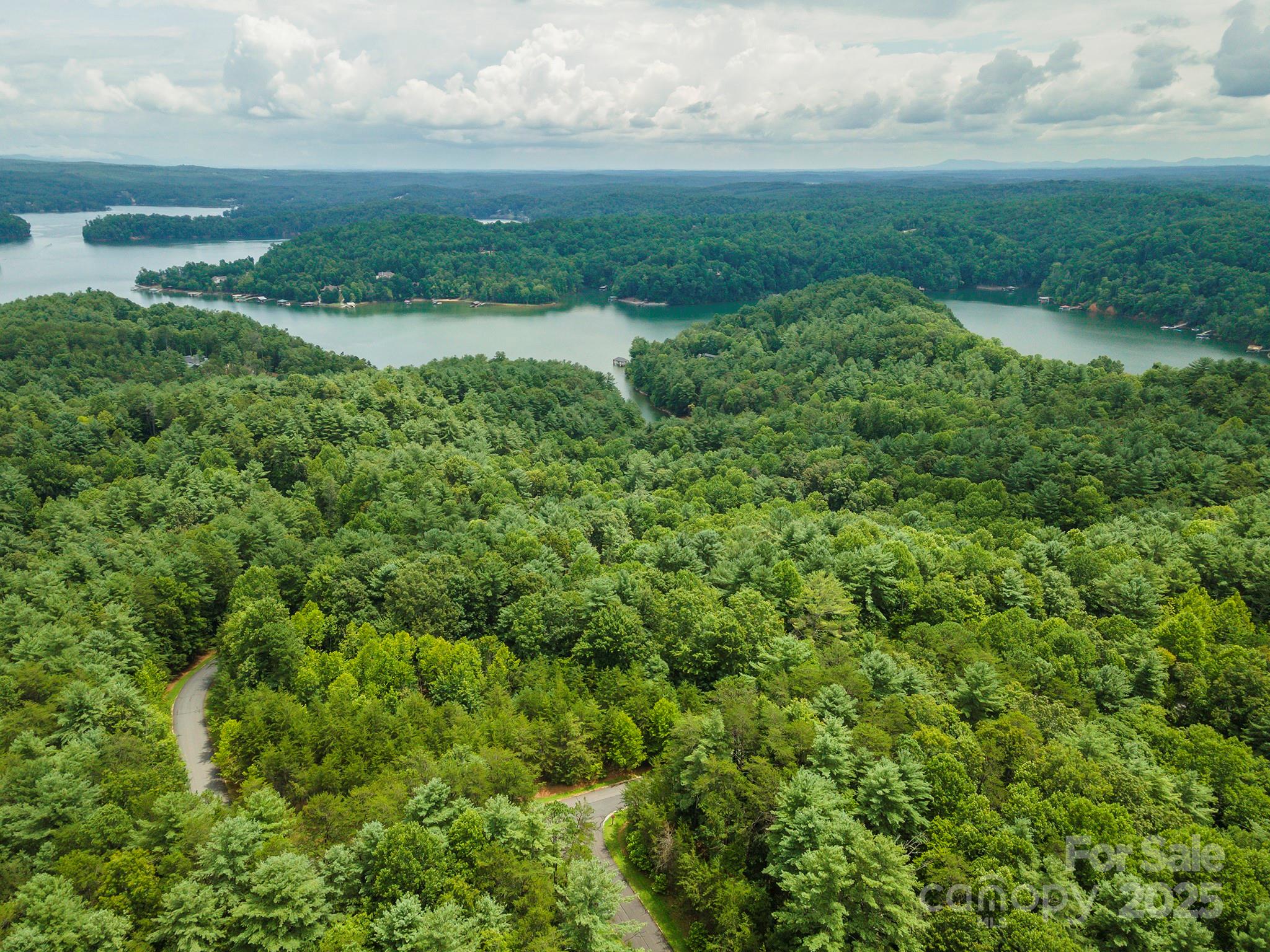 Lot 46 Black Forest Drive Marion NC 28752