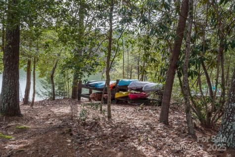 Lot 46 Black Forest Drive Marion NC 28752
