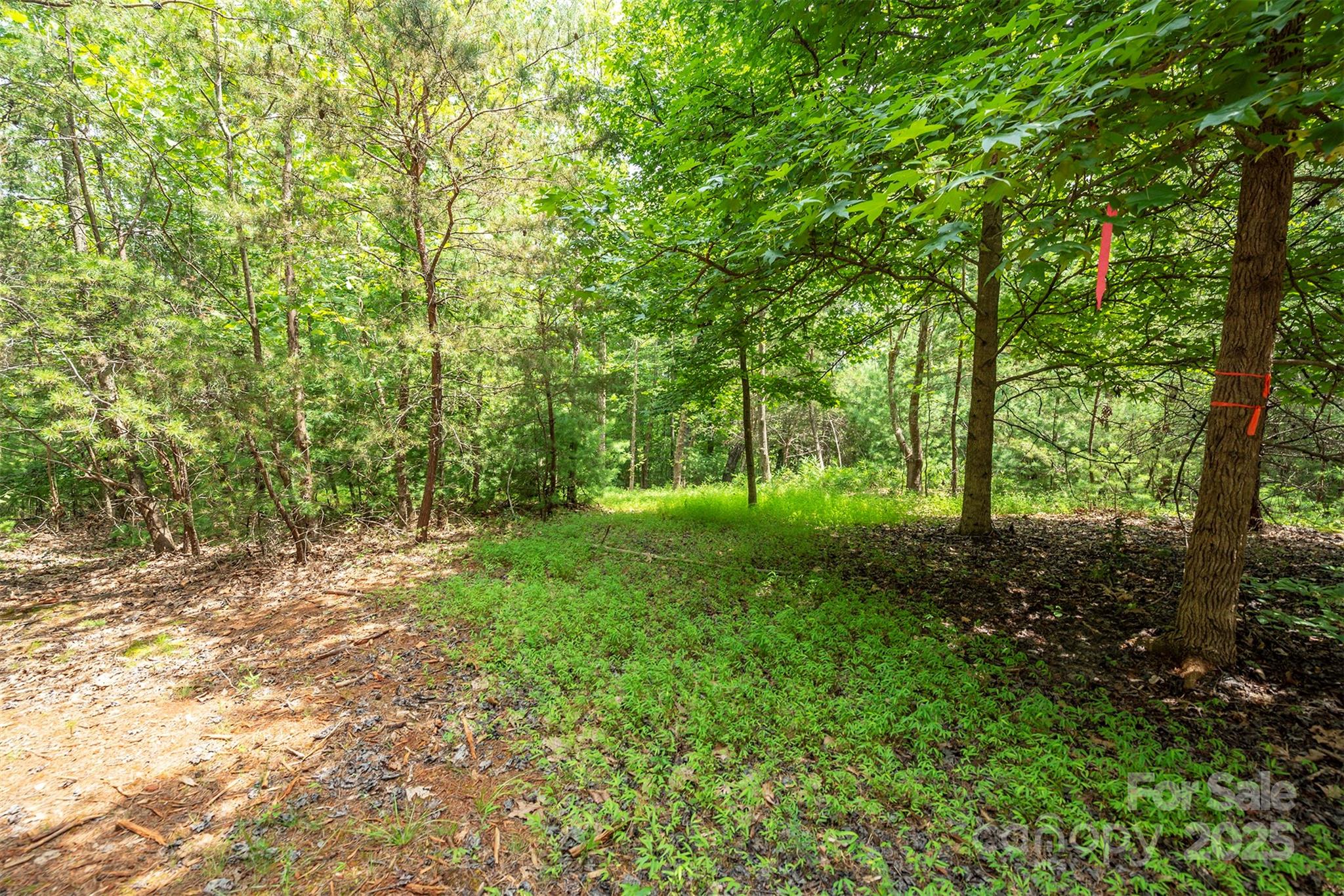 Lot 46 Black Forest Drive Marion NC 28752