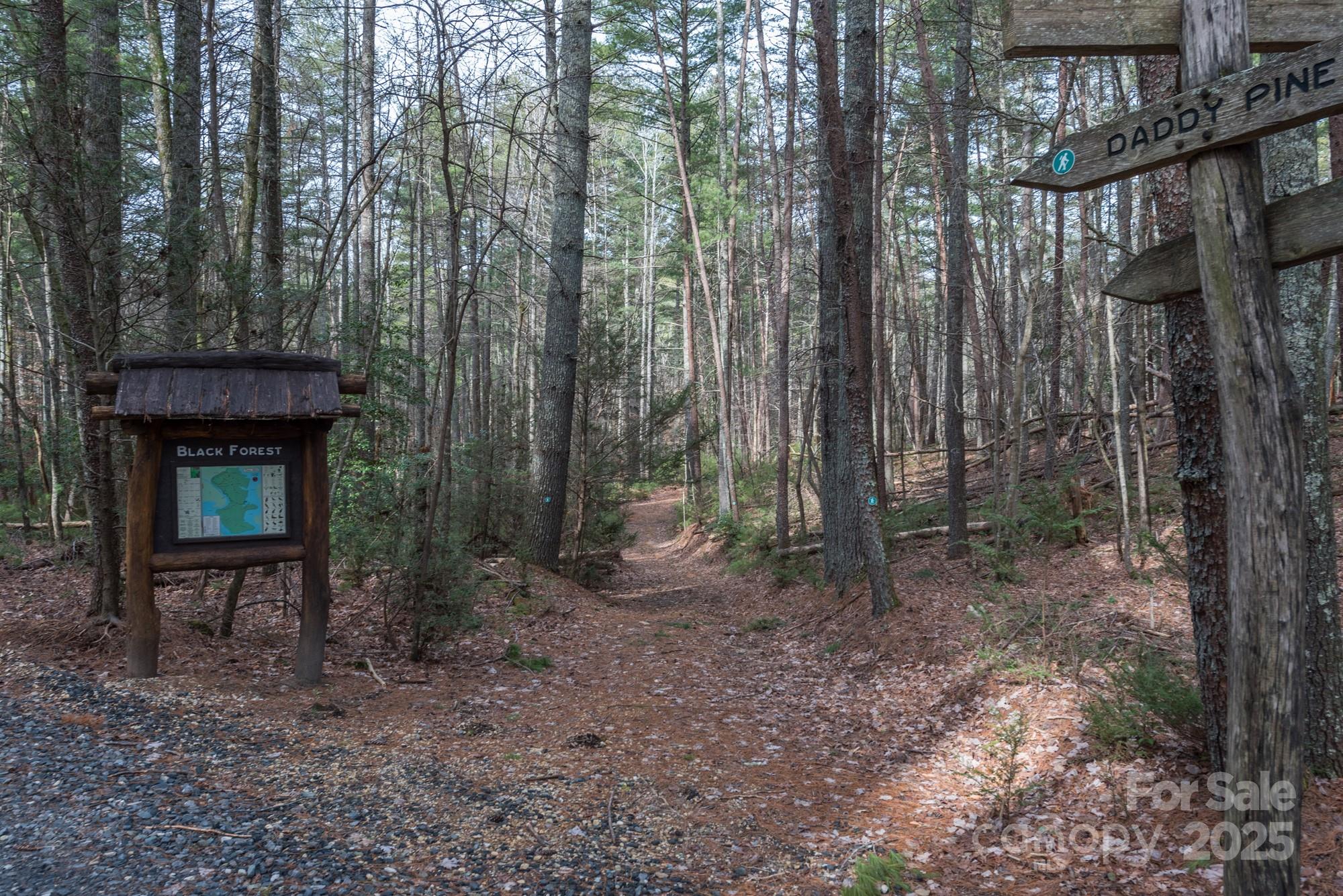 Lot 46 Black Forest Drive Marion NC 28752