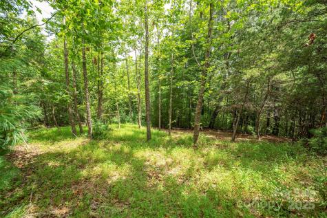 Lot 46 Black Forest Drive Marion NC 28752