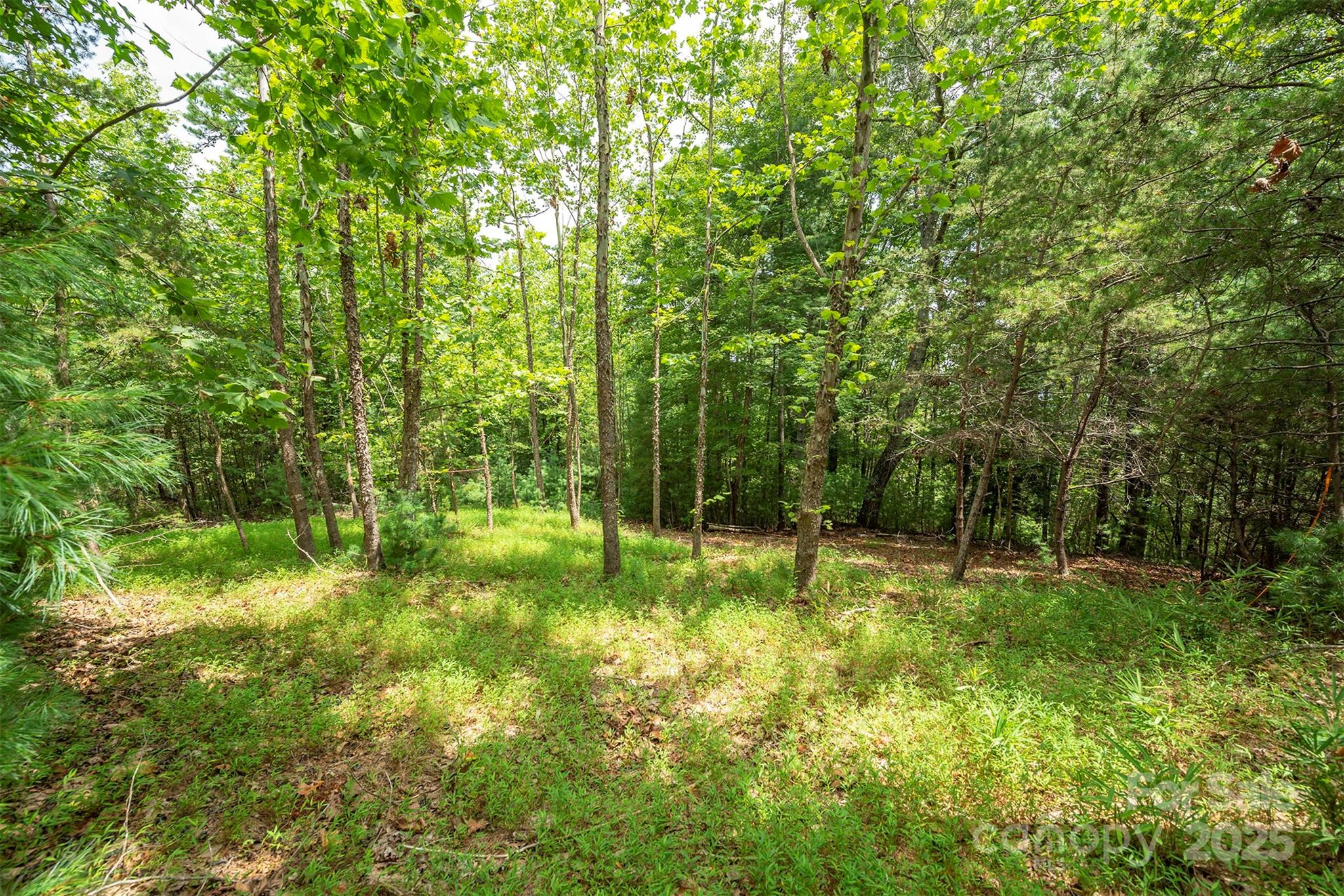 Lot 46 Black Forest Drive Marion NC 28752