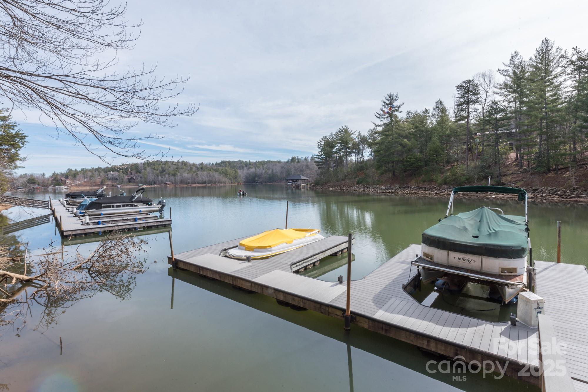 Lot 46 Black Forest Drive Marion NC 28752