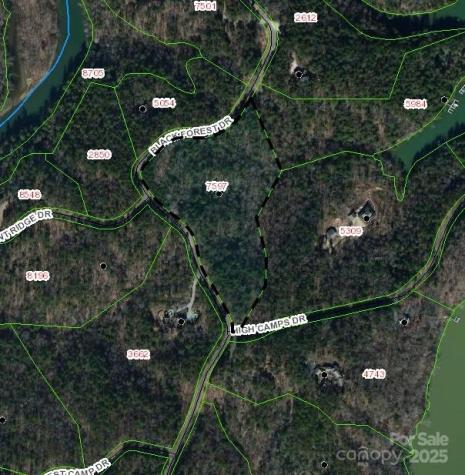 Lot 46 Black Forest Drive Marion NC 28752