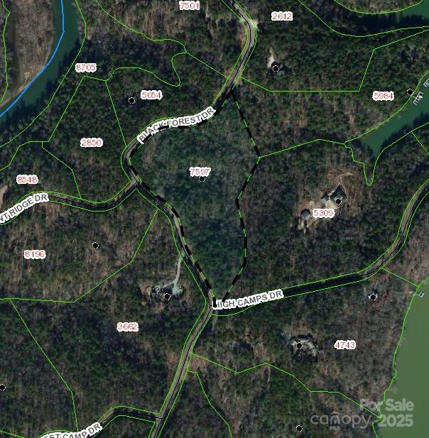 Lot 46 Black Forest Drive Marion NC 28752