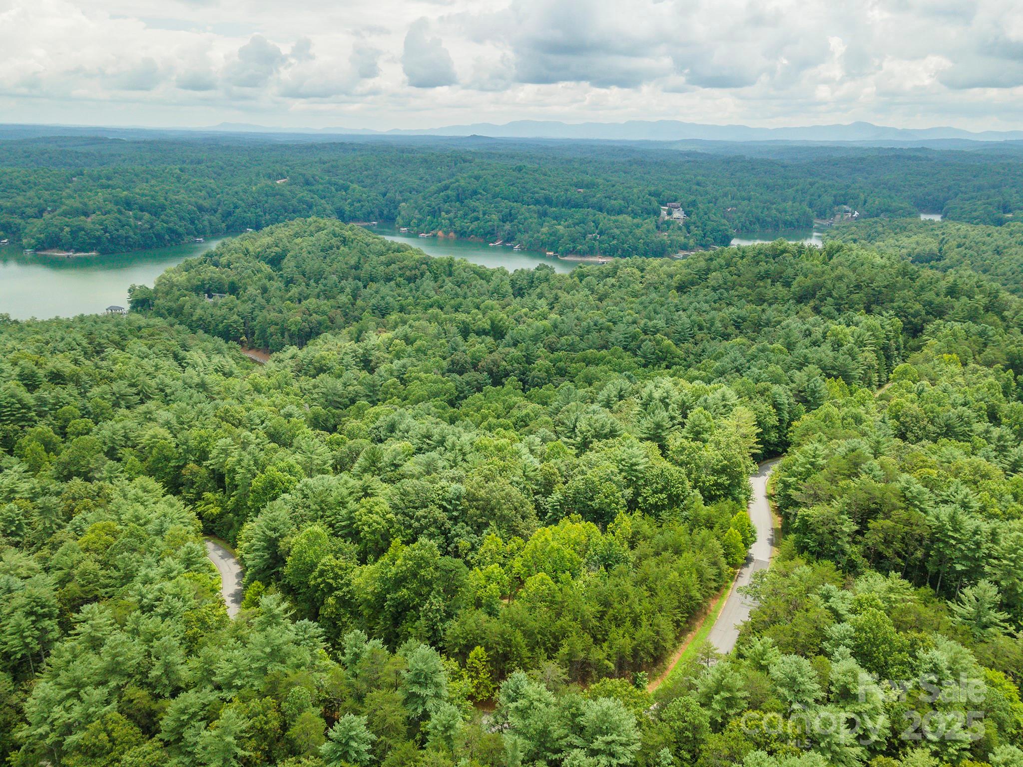 Lot 46 Black Forest Drive Marion NC 28752