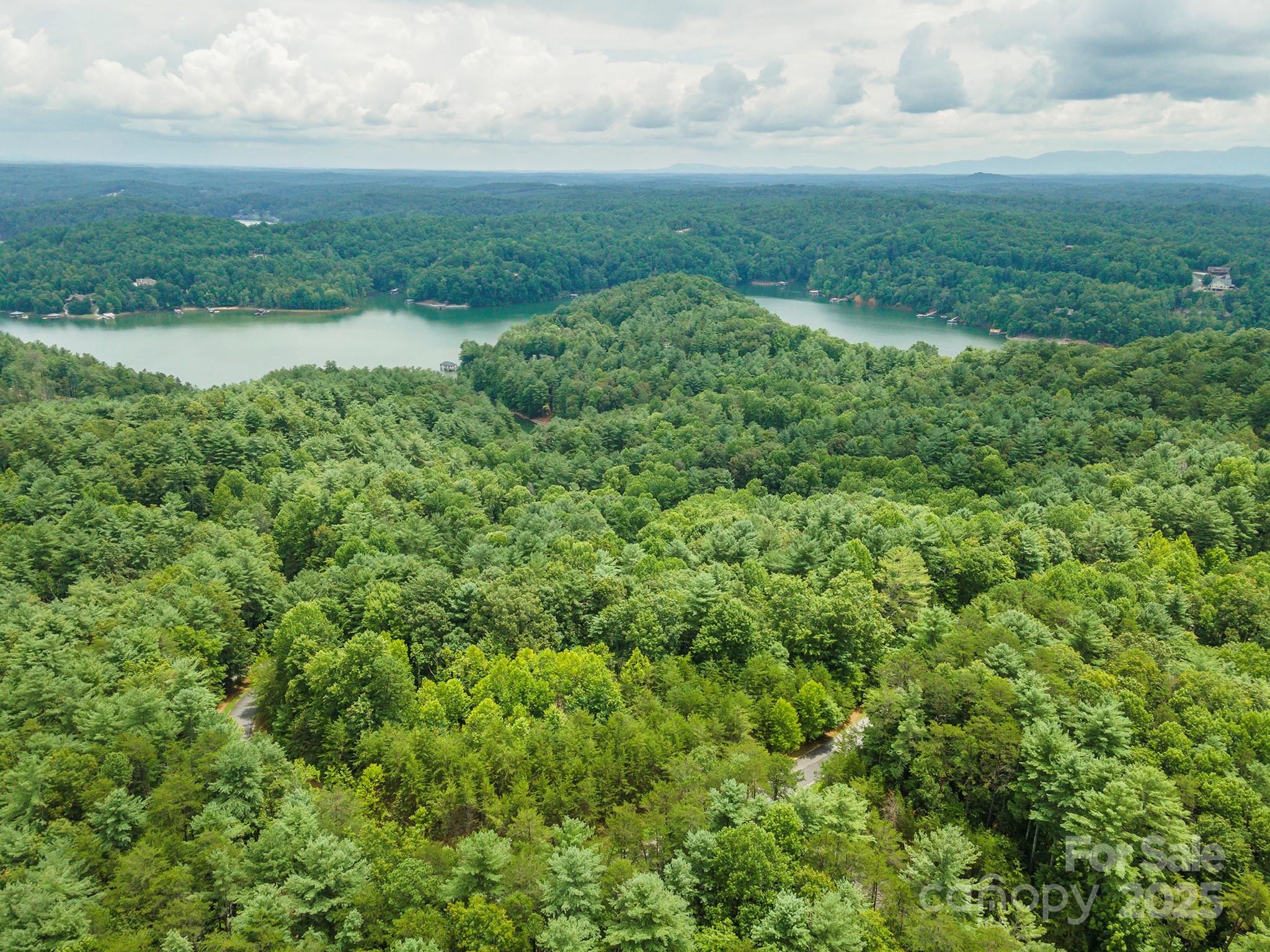 Lot 46 Black Forest Drive Marion NC 28752