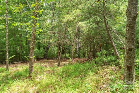 Lot 46 Black Forest Drive Marion NC 28752