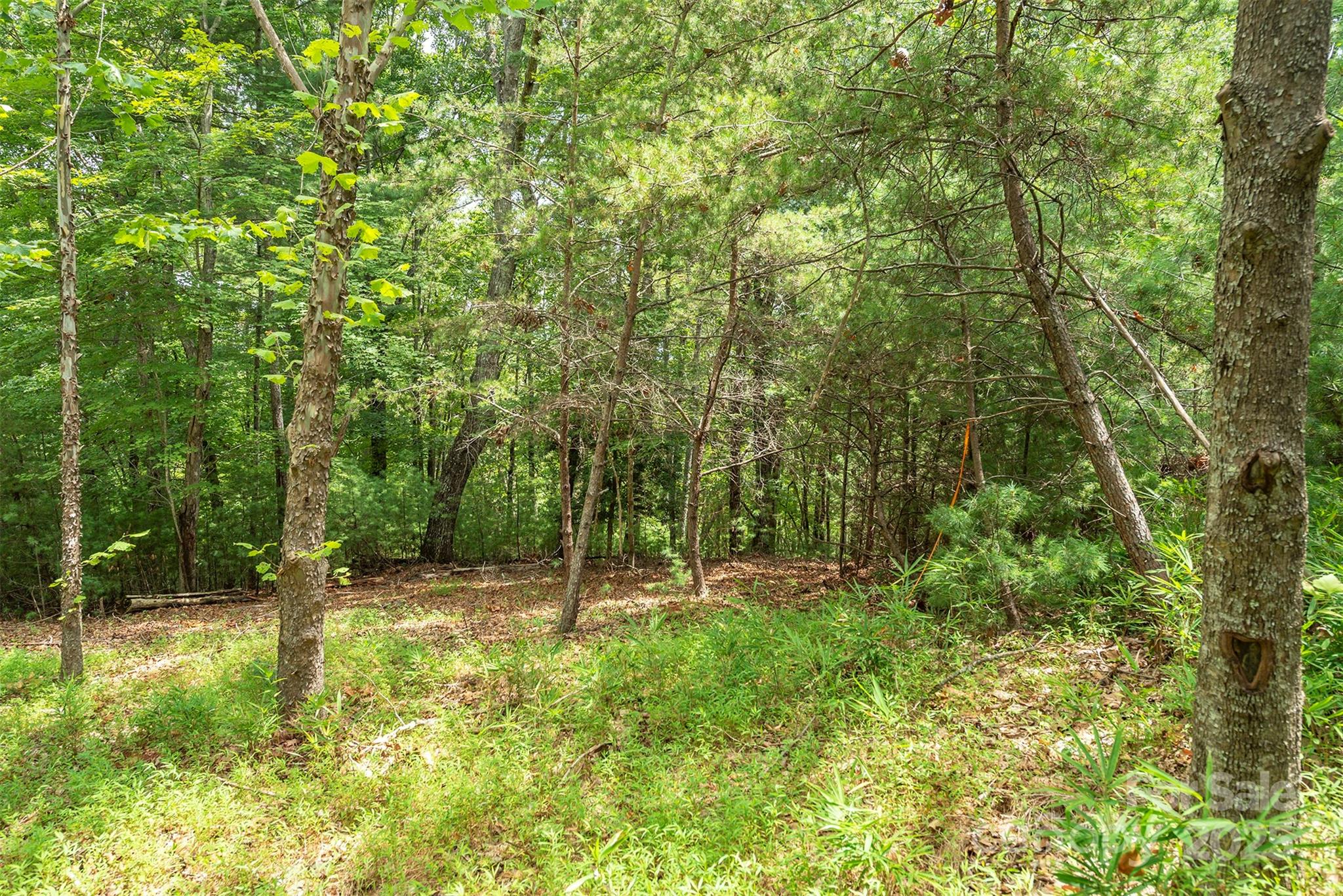 Lot 46 Black Forest Drive Marion NC 28752