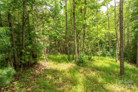 Lot 46 Black Forest Drive Marion NC 28752