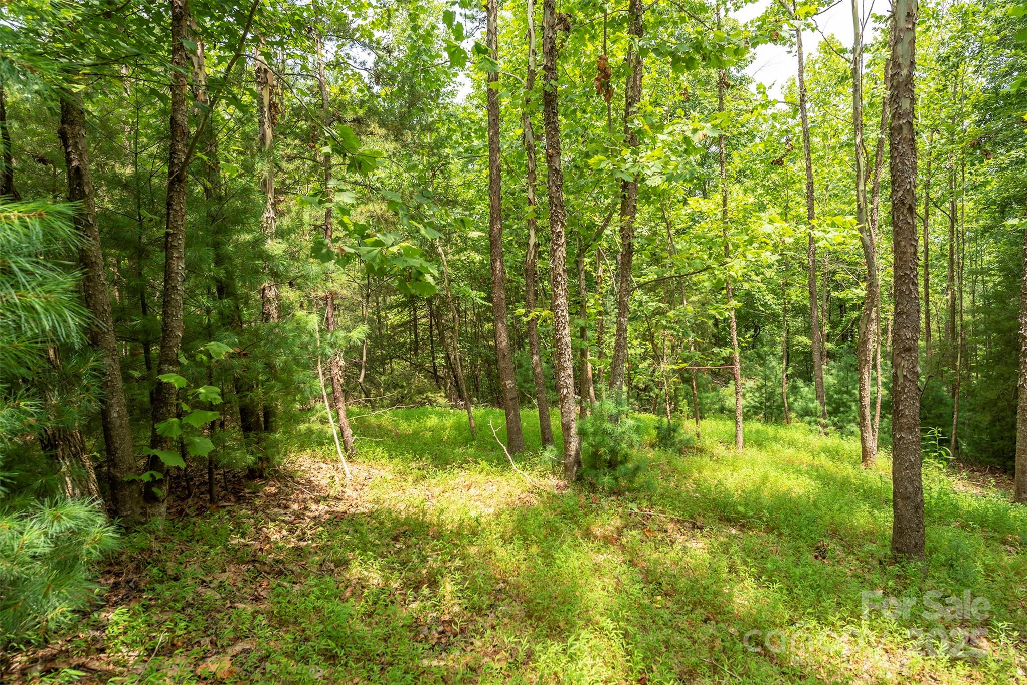 Lot 46 Black Forest Drive Marion NC 28752