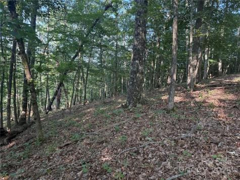 Lot 333 Scenic Vista Drive Nebo NC 28761