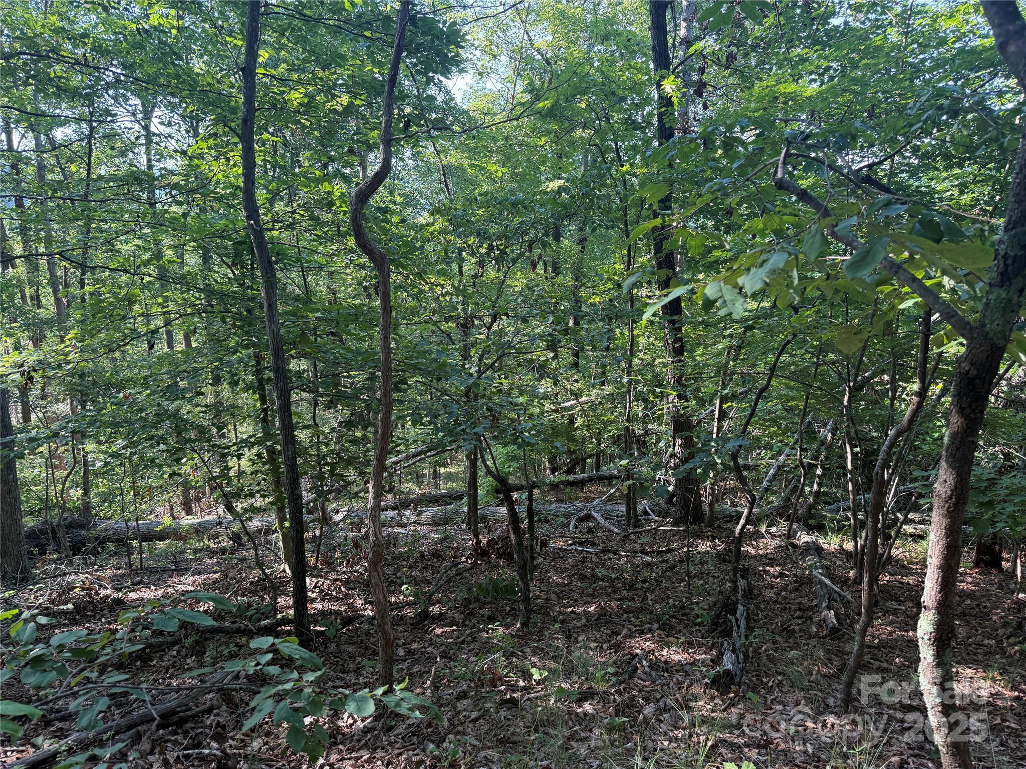 Lot 333 Scenic Vista Drive Nebo NC 28761