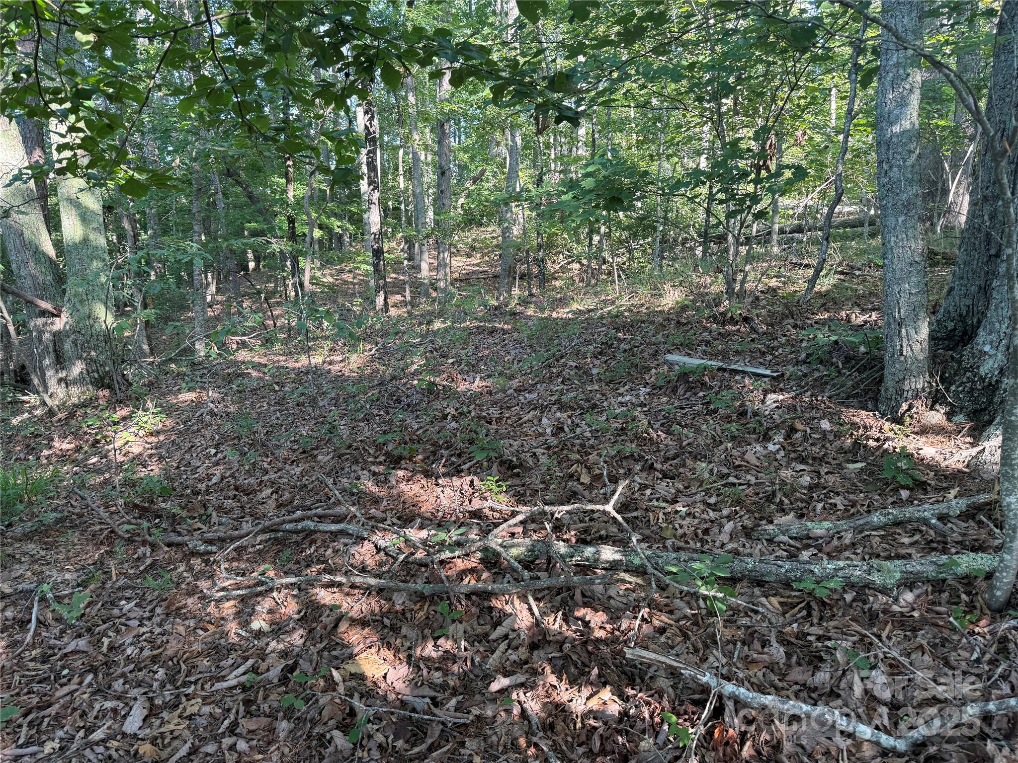 Lot 333 Scenic Vista Drive Nebo NC 28761