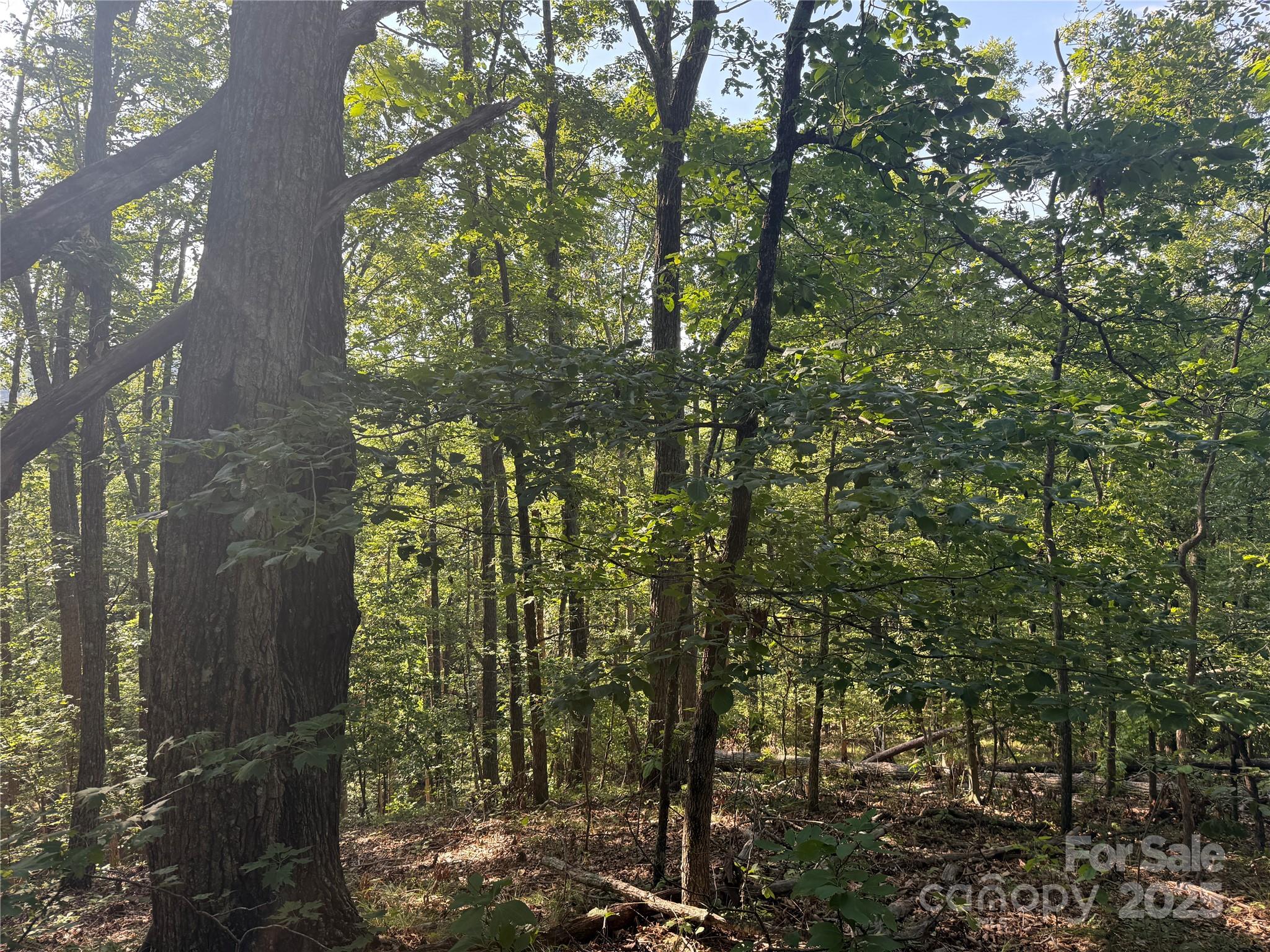 Lot 333 Scenic Vista Drive Nebo NC 28761