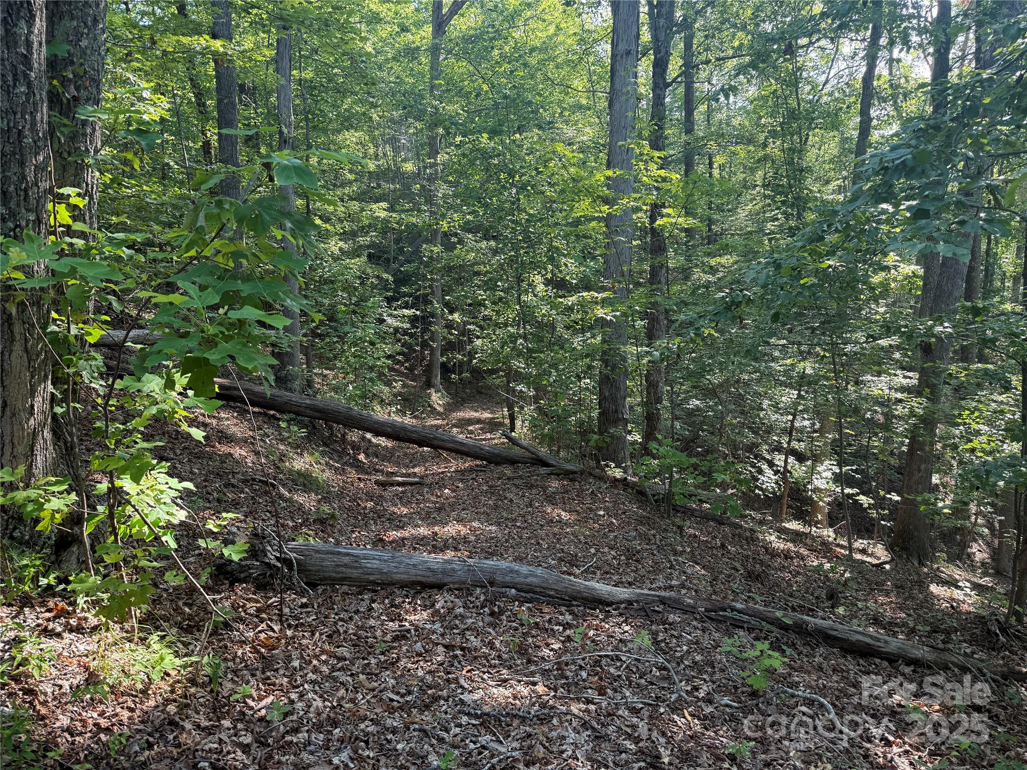 Lot 333 Scenic Vista Drive Nebo NC 28761