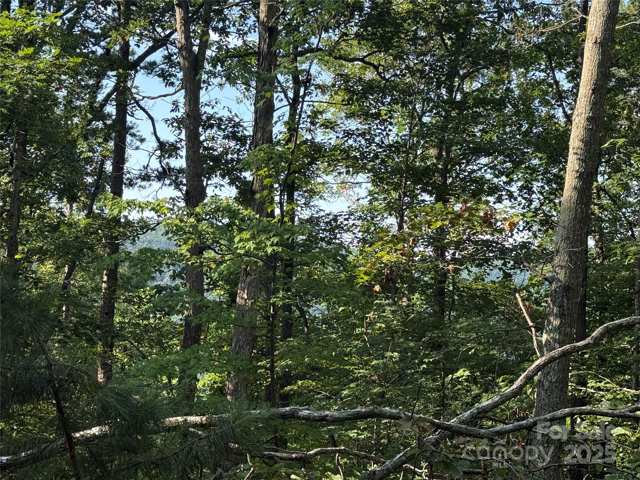 Lot 333 Scenic Vista Drive Nebo NC 28761