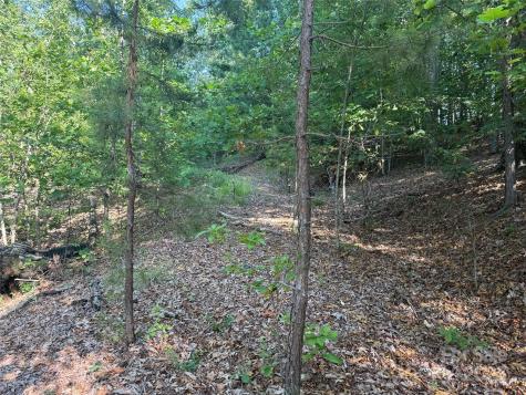 Lot 333 Scenic Vista Drive Nebo NC 28761