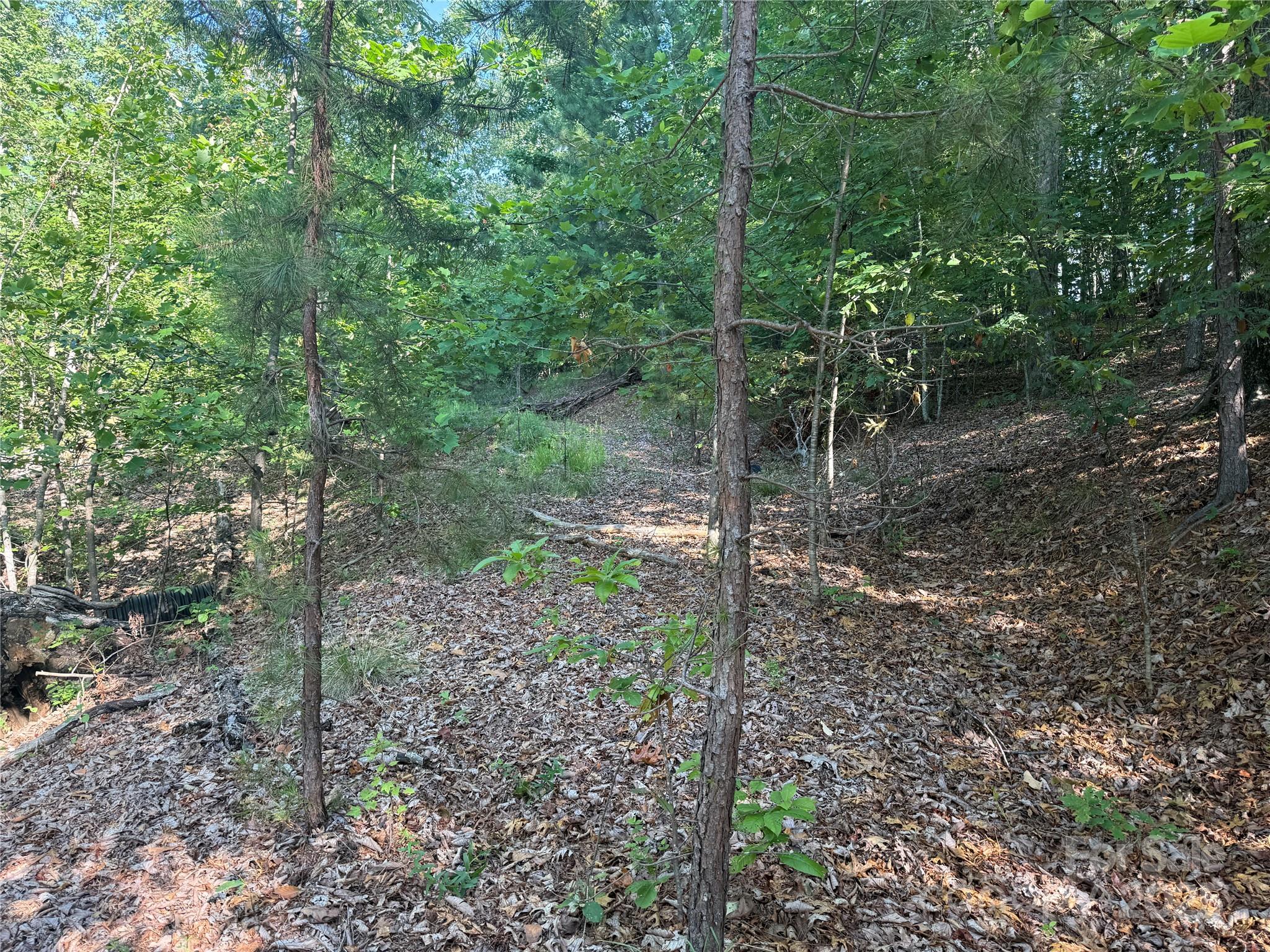 Lot 333 Scenic Vista Drive Nebo NC 28761