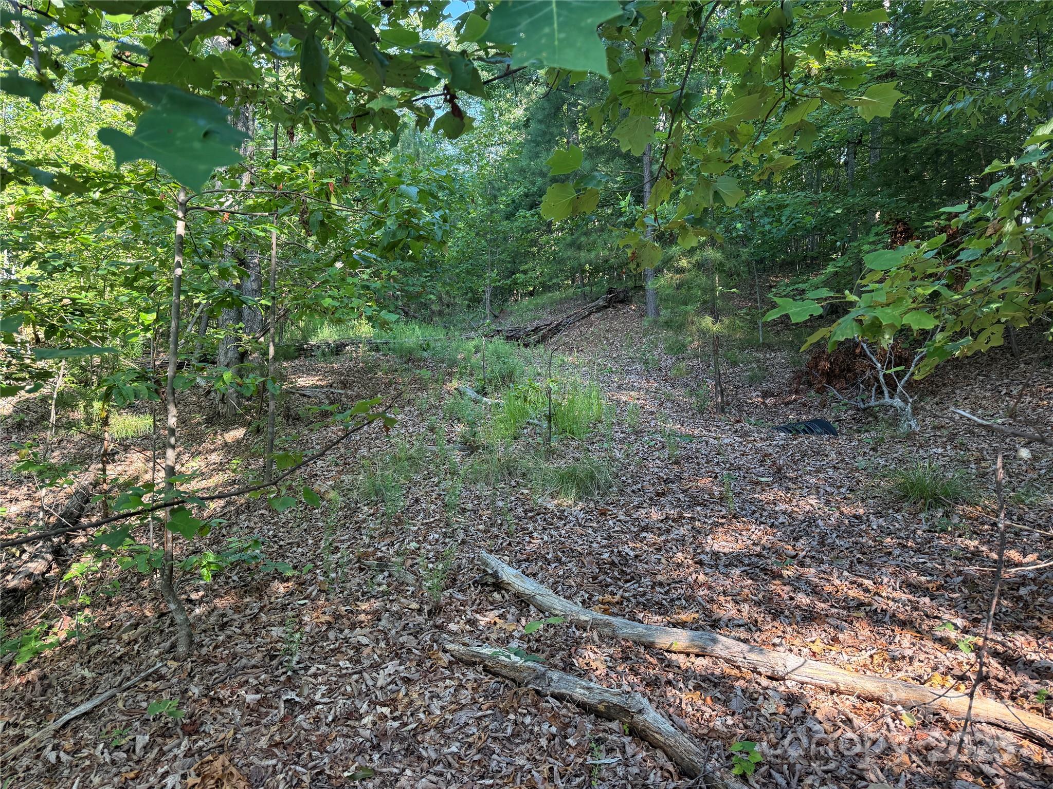 Lot 333 Scenic Vista Drive Nebo NC 28761
