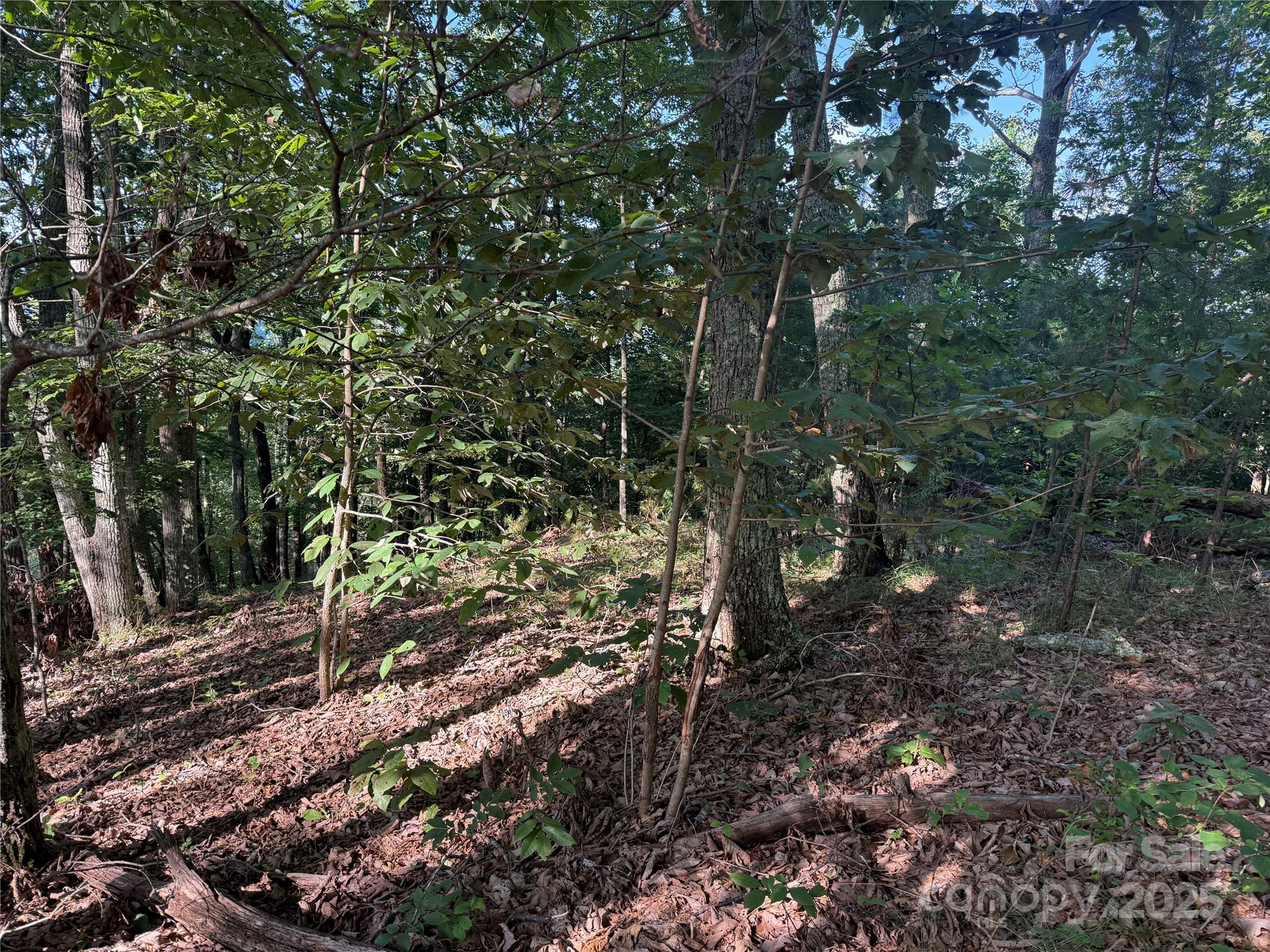 Lot 333 Scenic Vista Drive Nebo NC 28761