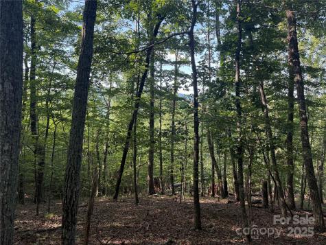 Lot 333 Scenic Vista Drive Nebo NC 28761