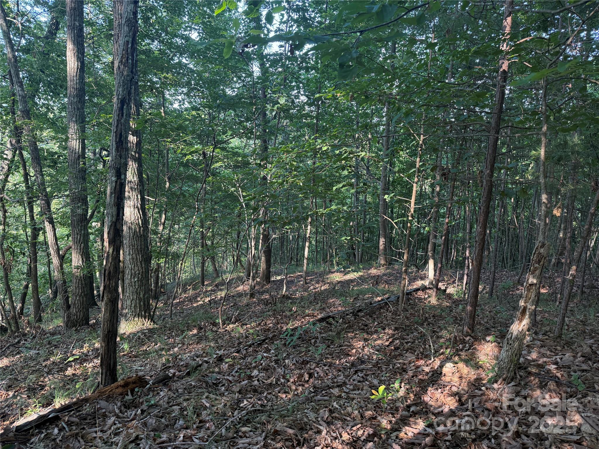Lot 333 Scenic Vista Drive Nebo NC 28761