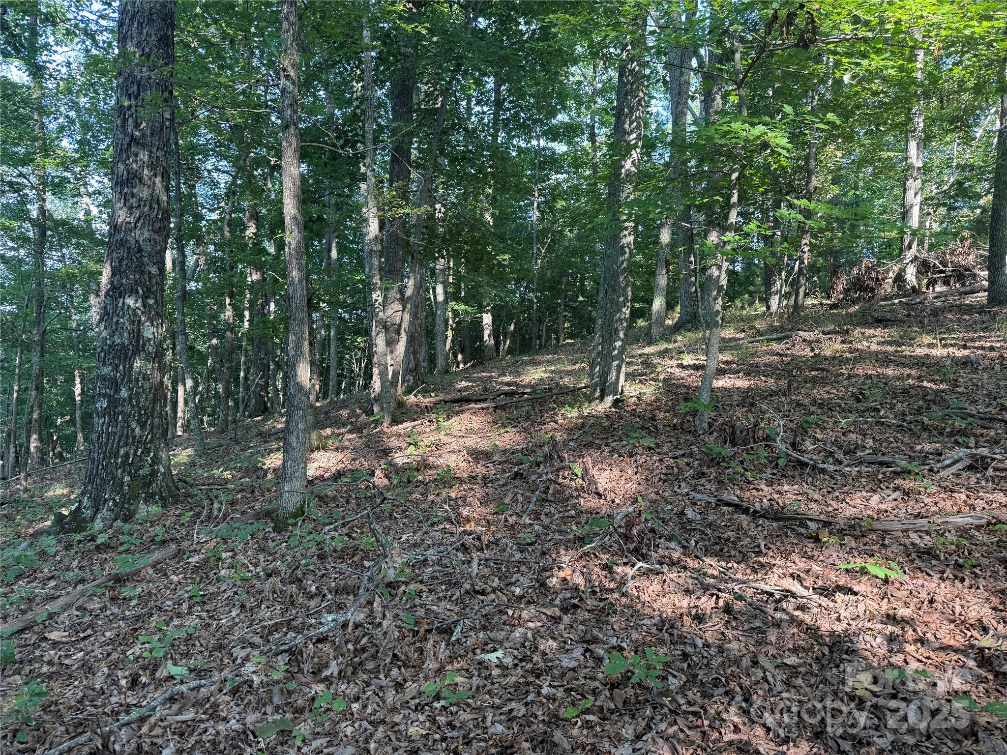 Lot 333 Scenic Vista Drive Nebo NC 28761