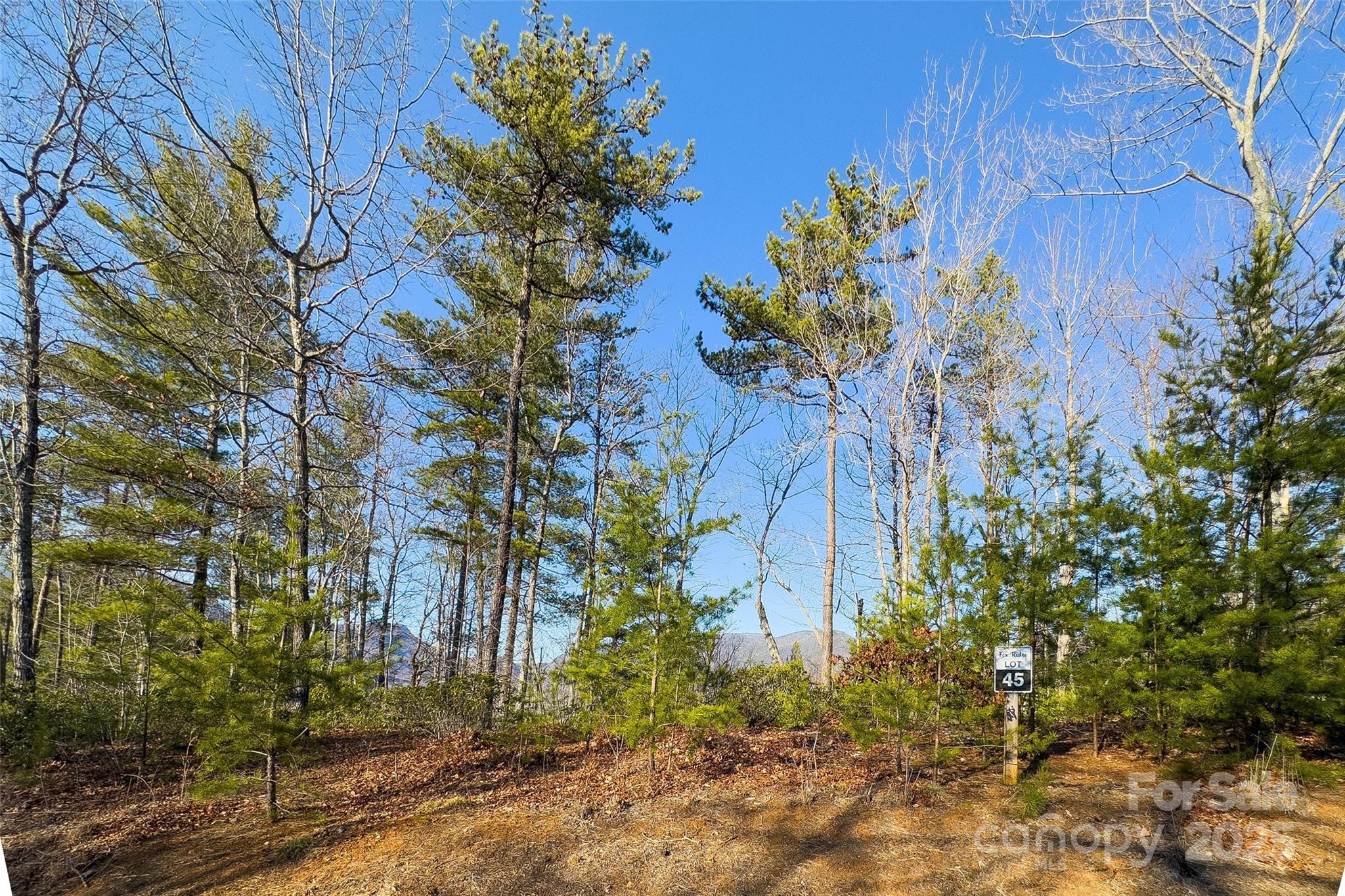 Lot #45 Fox Ridge Trail Marion NC 28752