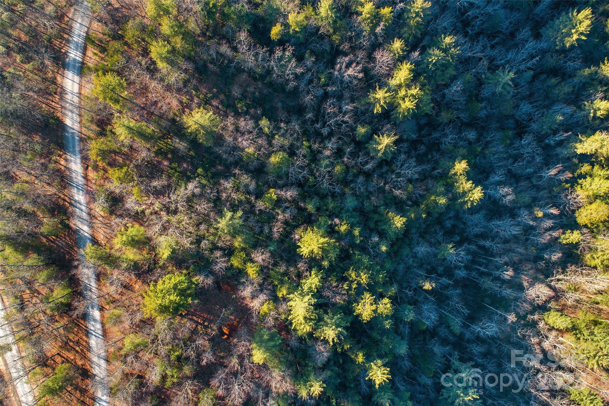 Lot #45 Fox Ridge Trail Marion NC 28752