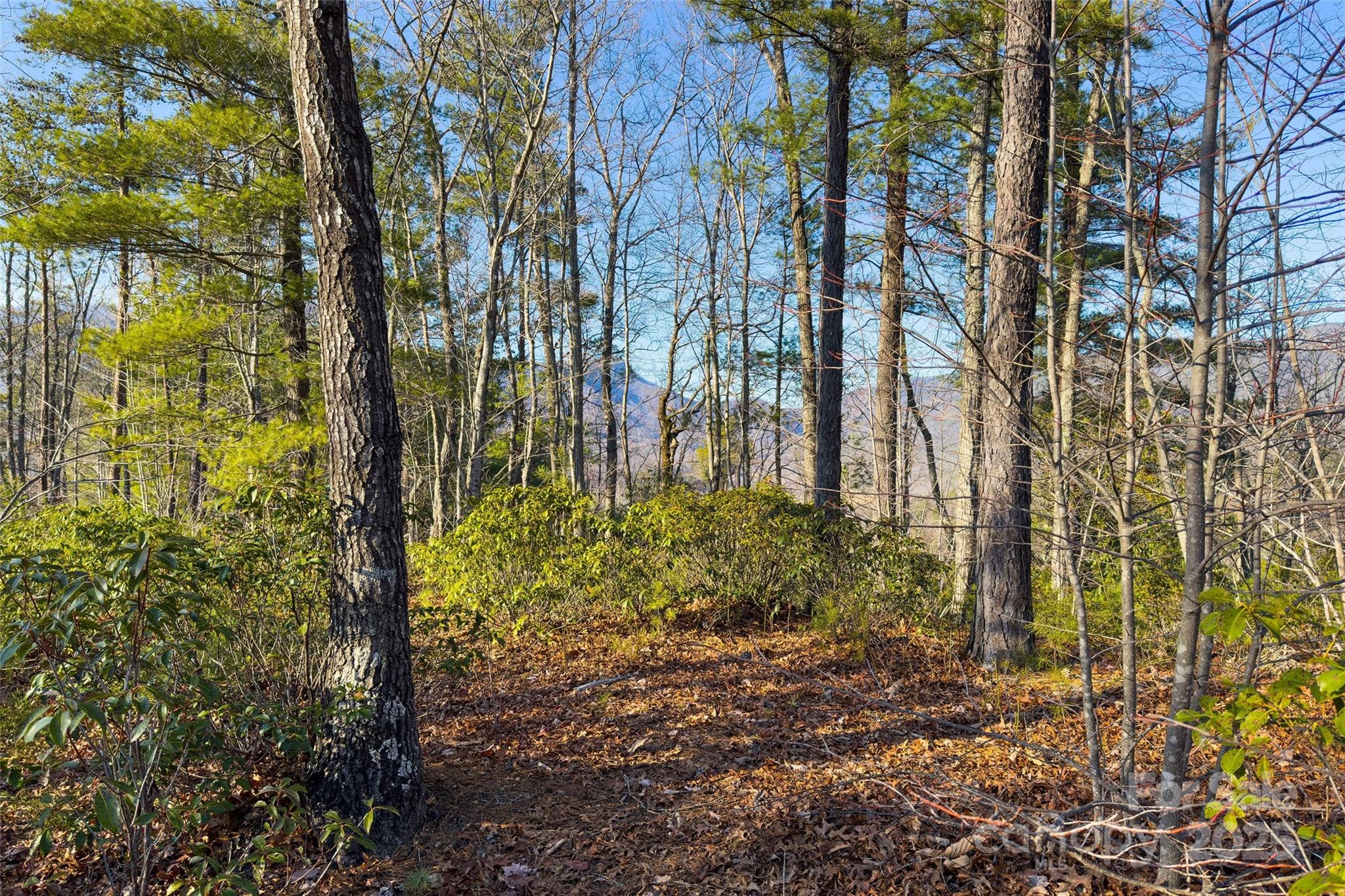 Lot #45 Fox Ridge Trail Marion NC 28752