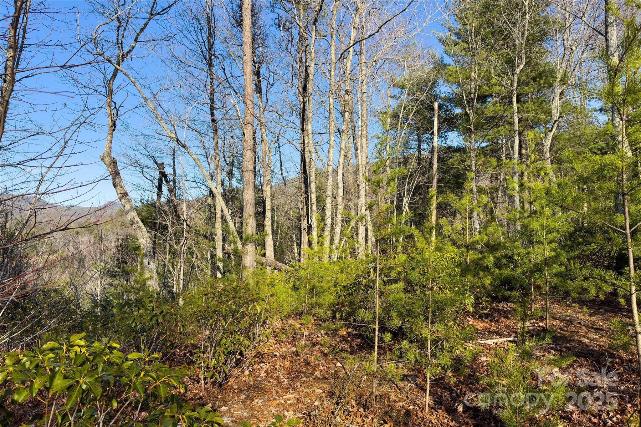 Lot #45 Fox Ridge Trail Marion NC 28752
