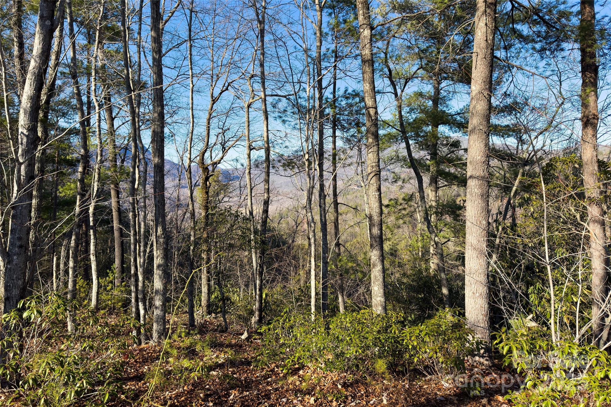 Lot #45 Fox Ridge Trail Marion NC 28752