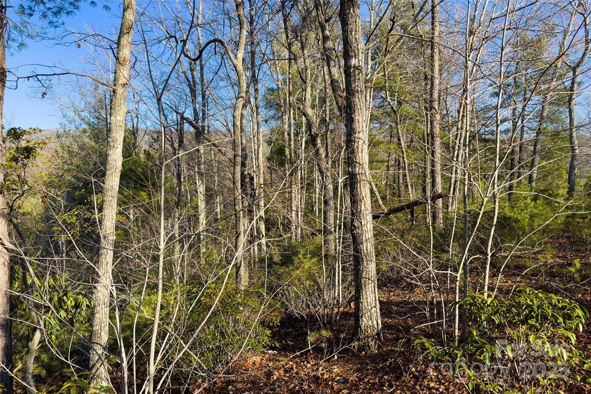Lot #45 Fox Ridge Trail Marion NC 28752