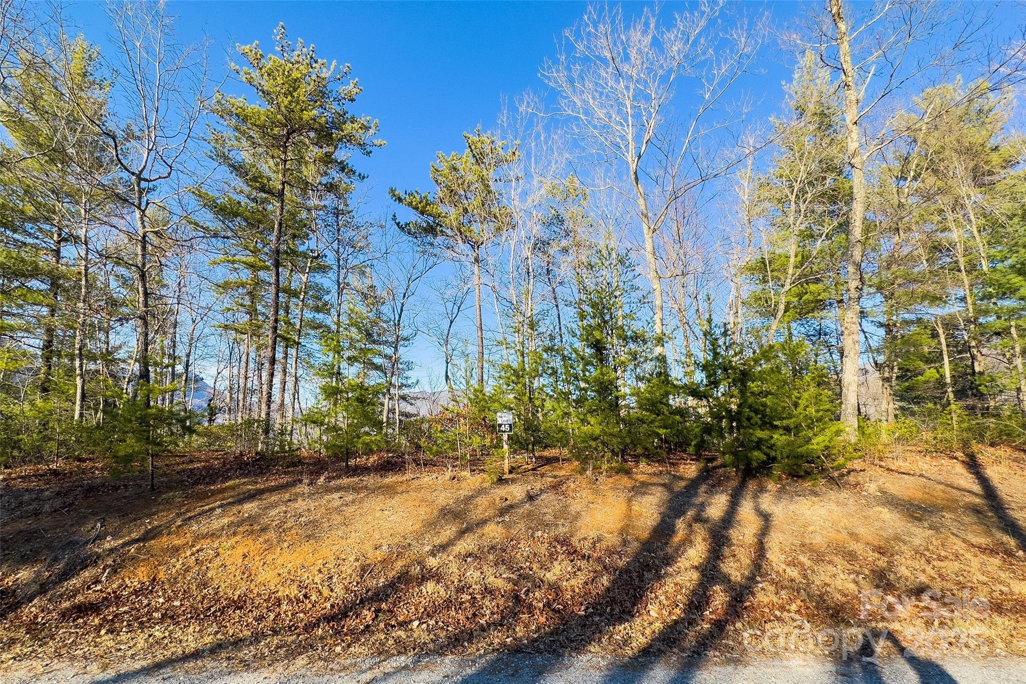 Lot #45 Fox Ridge Trail Marion NC 28752