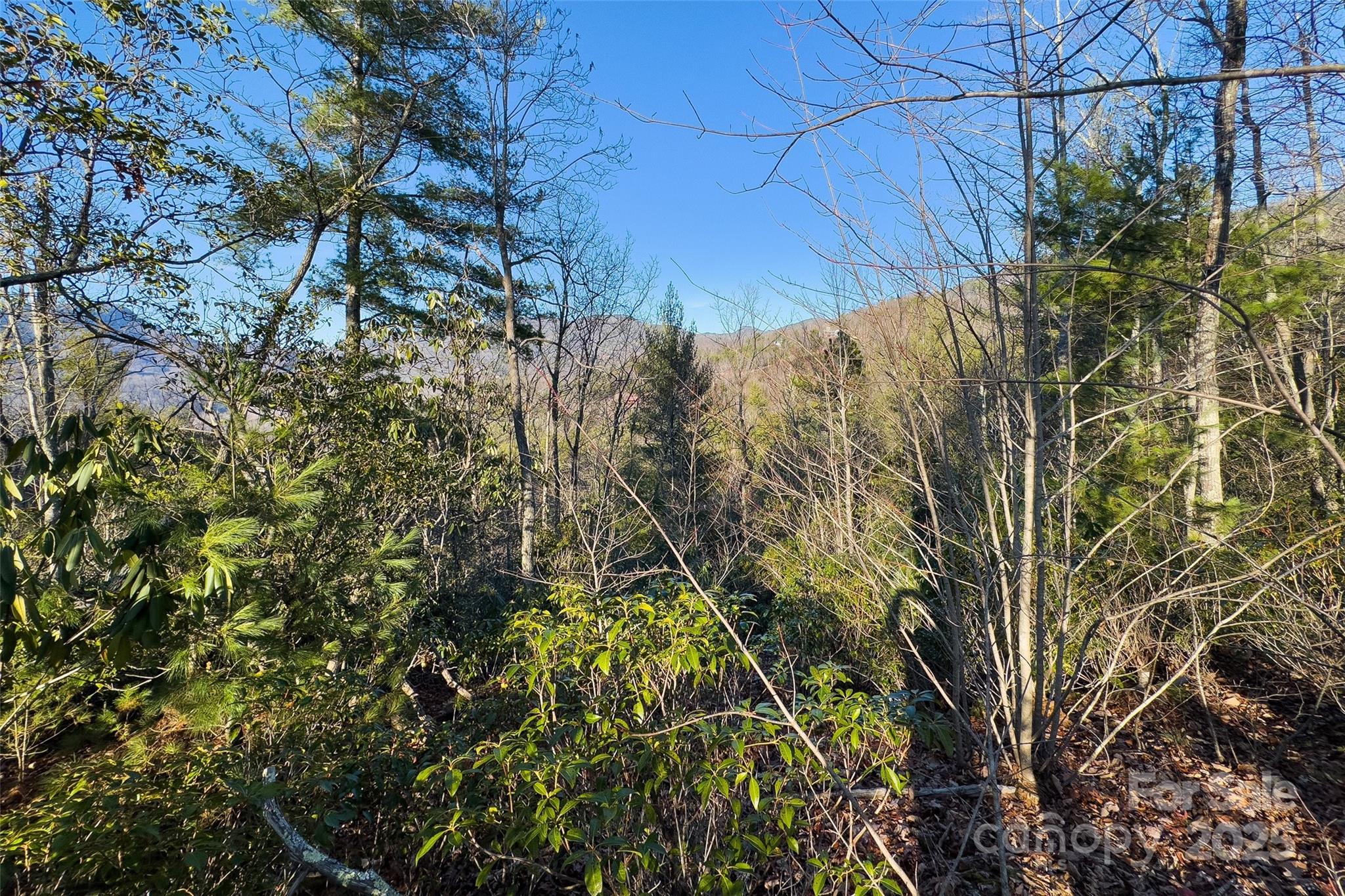 Lot #45 Fox Ridge Trail Marion NC 28752