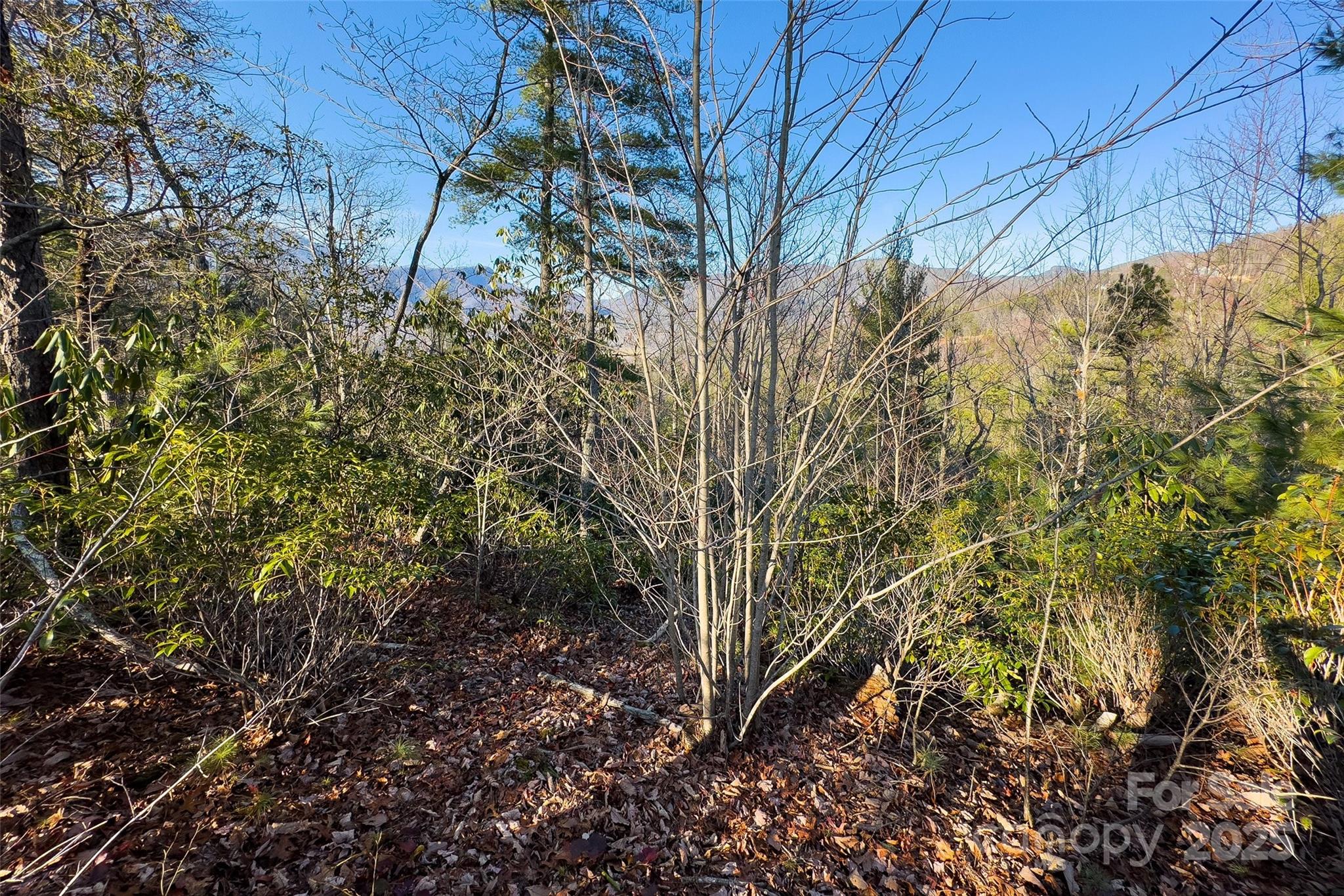 Lot #45 Fox Ridge Trail Marion NC 28752