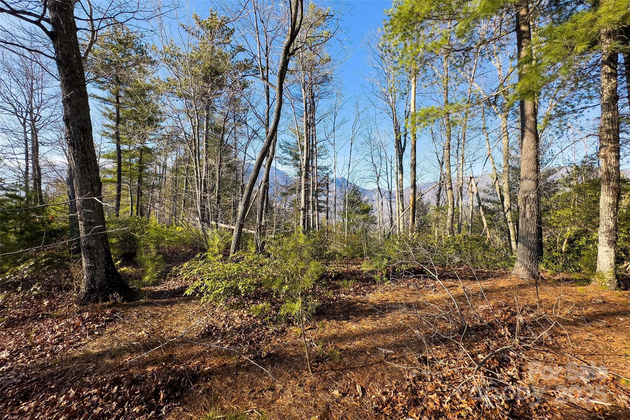 Lot #45 Fox Ridge Trail Marion NC 28752