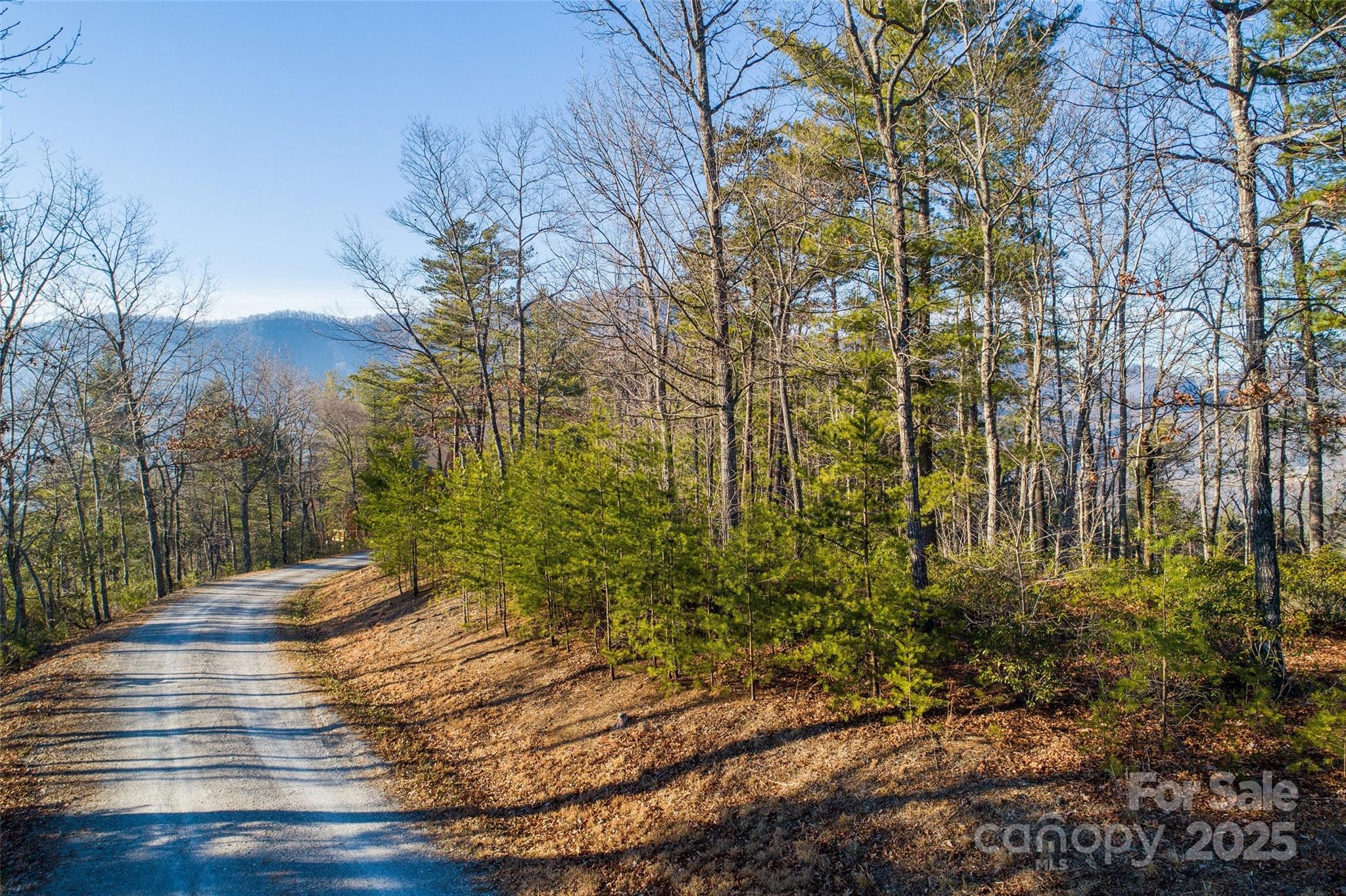Lot #45 Fox Ridge Trail Marion NC 28752