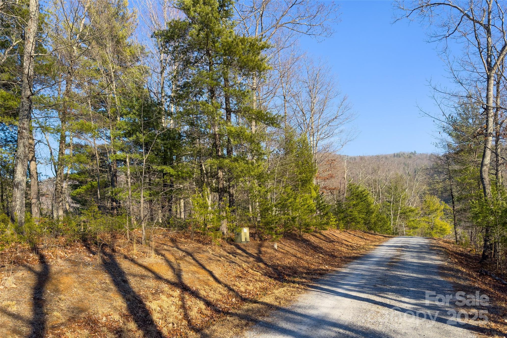Lot #45 Fox Ridge Trail Marion NC 28752